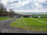 AK310322-85 - Alan King Stable Visit